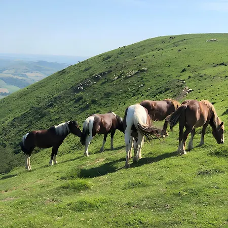 Tables D'hotes Lukugaraia فندق مبيت وإفطار 3*