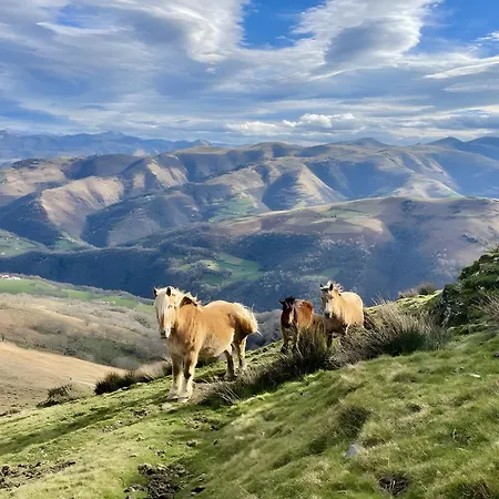 Oda ve Kahvaltı Tables D'hotes Lukugaraia 3*