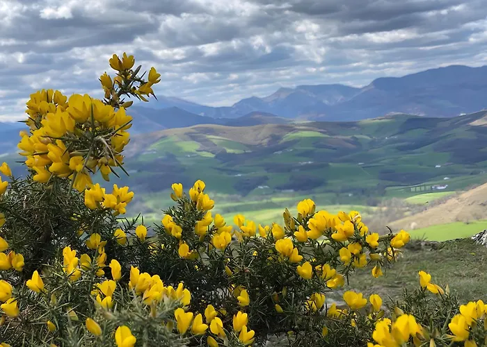 Tables D'hotes Lukugaraia B&B 3*