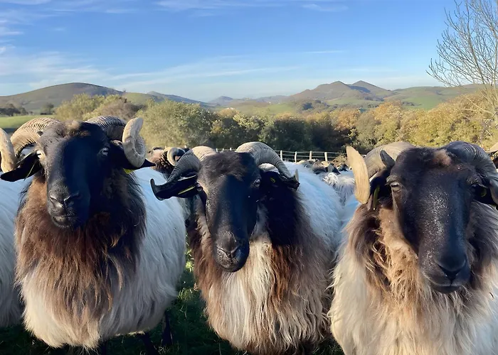 B&B Tables D'hotes Lukugaraia