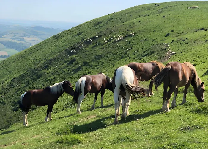 Tables D'hotes Lukugaraia B&B 3*