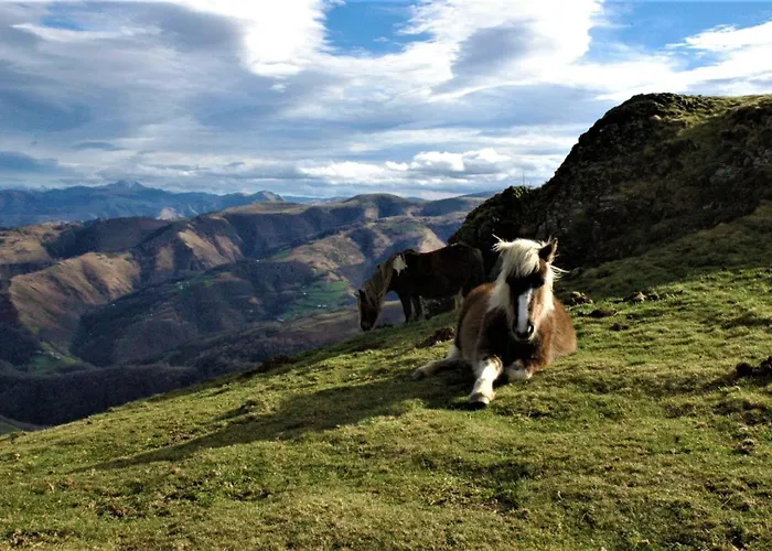 Tables D'hotes Lukugaraia Iholdy